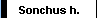 Sonchus h.