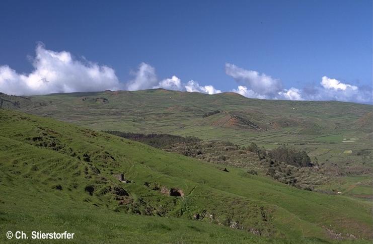 Meseta de Nisdafe